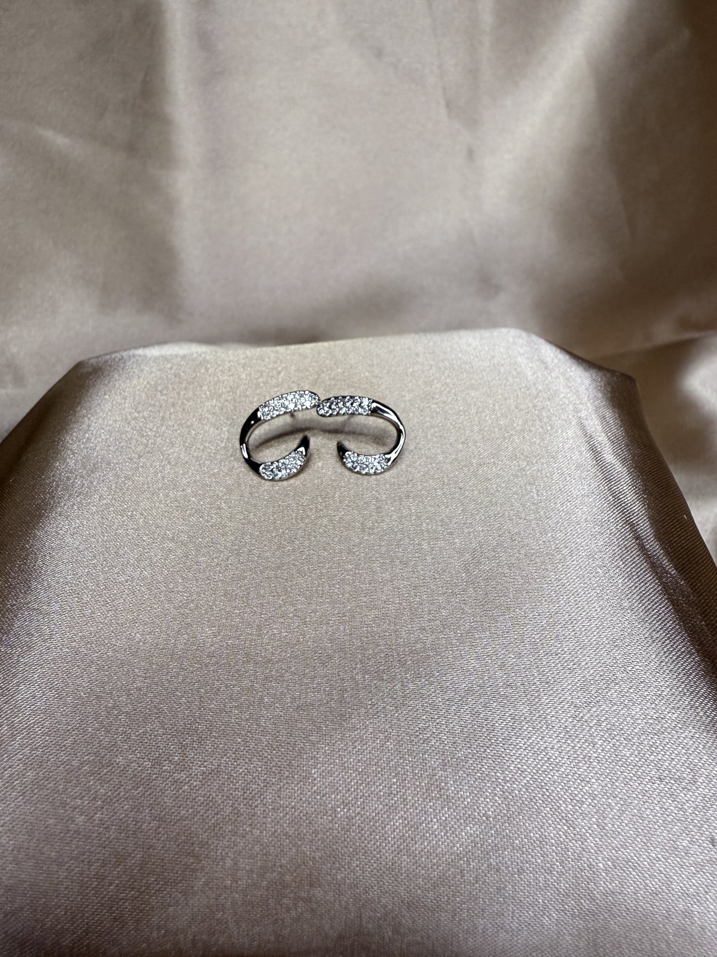 Nesa Earrings Silver