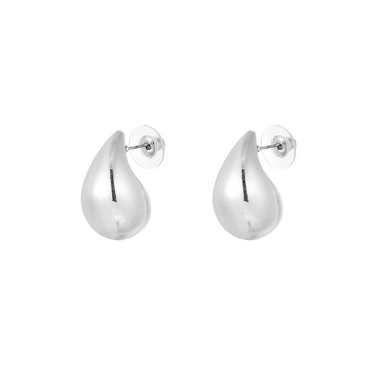 Drop Earrings Silver
